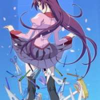  ����� Bakemonogatari <small>Co-Director</small> 